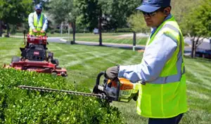 garden-care-jeddah