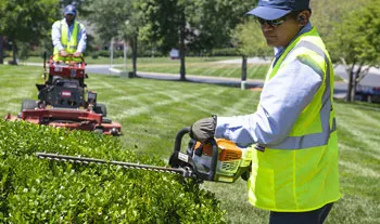 landscaping-maintenance-jeddah