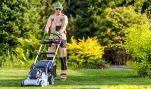 lawn-mowing-jeddah
