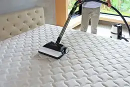 move in and out cleaning jeddah
